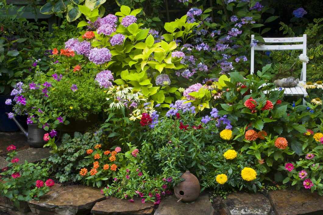 walk in the garden